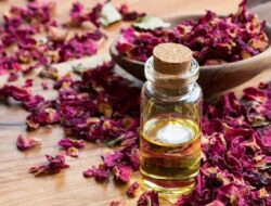 7 Essential Oil yang Ampuh Memanfaatkan Gairah Bercinta