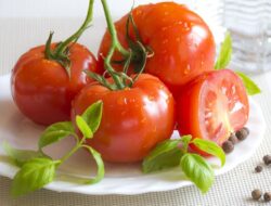 Bisa Picu Masalah Kesehatan, Kelompok Ini Dilarang Minum Jus Tomat