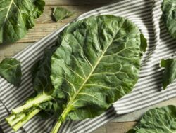 Sayuran Tinggi Kalsium untuk Kesehatan Tulang: Alternatif Selain Susu