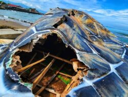 Ornamen Penyu Ikon Alun-alun Gadobangkong Jebol, Konstruksinya Disorot