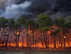 Penampakan Horor Kebakaran Hutan Terbesar New Jersey