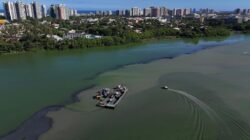 Kemunculan Noda Hitam di Laut Rio de Janeiro