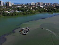 Kemunculan Noda Hitam di Laut Rio de Janeiro