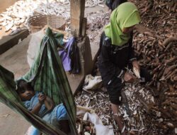 Pemerintah Resmi Batasi Produk Impor Etanol-Singkong Usai Diperintah Prabowo