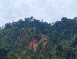 321 Hektare Tambang Ilegal Berhasil Kembali ke Negara