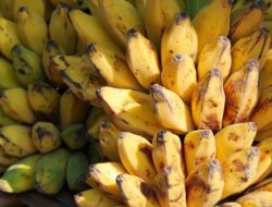 8 Makanan Paling Tinggi Serat, Pencernaan Lancar dan BB Turun