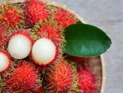 Hati-Hati, Kelompok Orang Ini Sebaiknya Tidak Makan Rambutan