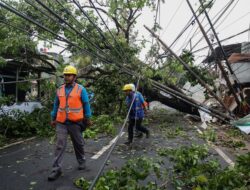 Pohon Tumbang Timpa Sebanyaknya Rumah Warga di Bogor