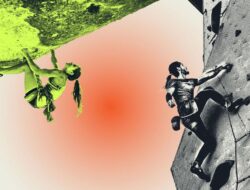 EDUSPORTS: Nomor dalam Cabang Gerakan Panjat Tebing