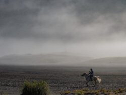 Eksotis, Tapi Planet Bromo yang Viral Ternyata Tak Boleh Dikunjungi