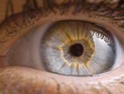 Ini 5 Trik Menjaga Kesehatan Mata pada Usia 20-40 Tahun