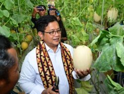 Viva Yoga Dorong Produk Usaha Mikro, Kecil, dan Menengah di Kawasan Transmigrasi Bisa Penjualan Barang ke Luar Negeri