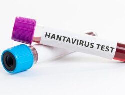 Legislator PDIP Minta Pemerintah Terapkan Pendekatan One Health Waspadai Hantavirus