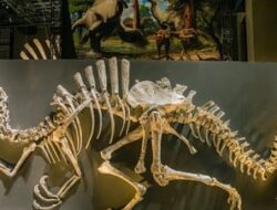 Dinosaurus yang Pernah Kuasai Asia Tenggara Ditemukan, Begini Wujudnya