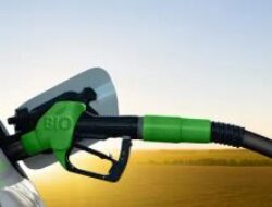 BBM B50 Resmi Diterapkan, ini Komponen Kendaraan Pribadi Diesel yang Wajid Dicek Rutin