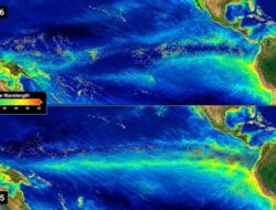 Kejadian Istimewa Super El Nino Ubah Warna Laut Samudra Pasifik